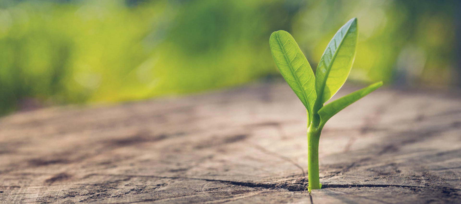 Reimagining Cancer as Chronic. Extending the Journey of Life.